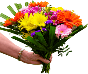 Brightly Coloured Bouquet In Hand - Marriage Anniversary Wishes For Brother, HD Png Download PNG with transparent background