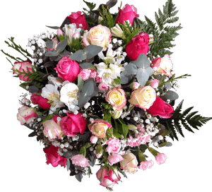 Garden Roses, HD Png Download PNG image with transparent background