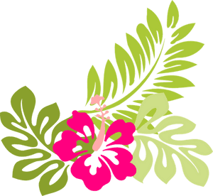 Free Tropical Flowers Cliparts - Hibiscus Clip Art, HD Png Download PNG