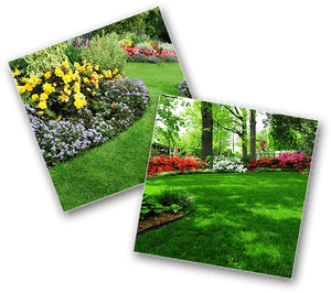 Home Landscapes, HD Png Download PNG image with transparent background