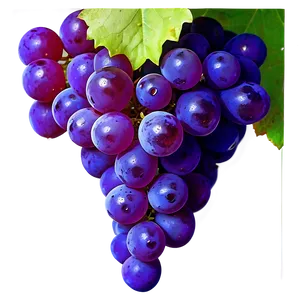 Vibrant Grape Clipart Png 06292024 PNG Image