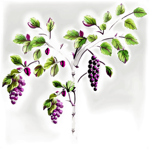 Vibrant Grapevine Artwork PNG image with transparent background