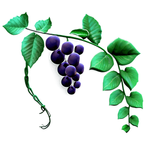 Vibrant Grapevine Illustration PNG image with transparent background