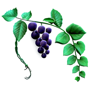 Vibrant Grapevine Illustration PNG Image