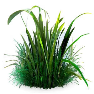 Vibrant Grass Patch Png Uwr PNG Image