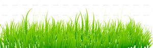 Vibrant_ Grass_with_ Flowers_ Background PNG Image