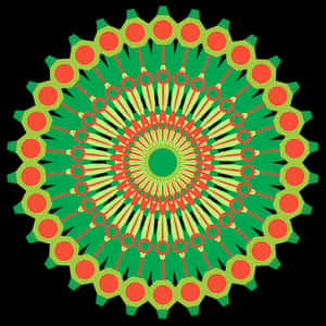 Vibrant_ Green_and_ Orange_ Mandala_ Art PNG image with transparent background