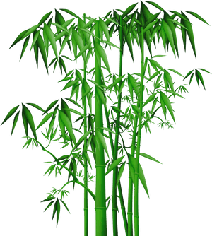 Transparent Black Bamboo Clipart - Chinese Bamboo Png, Png Download PNG with transparent background