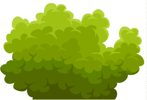 Bush Clipart Png - Bush Transparent Background Clipart, Png Download PNG with transparent background