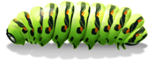 Caterpillar Png Transparent Images - Caterpillar Png, Png Download PNG image with transparent background