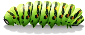 Vibrant Green Caterpillar Illustration PNG Image