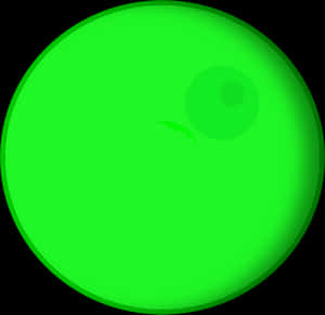Vibrant Green Circle Graphic PNG image with transparent background