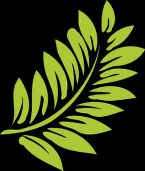 Vibrant Green Fern Leaf Graphic PNG image with transparent background