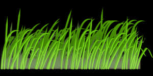 Vibrant Green Grass Illustration PNG image with transparent background