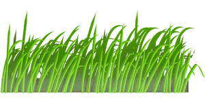 Vibrant Green Grass Illustration PNG Image