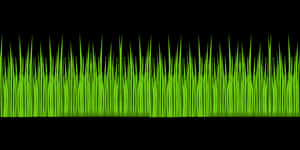 Vibrant Green Grass Texture PNG image with transparent background
