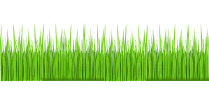 Vibrant Green Grass Texture PNG Image