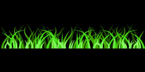 Vibrant Green Grass Vector PNG with transparent background