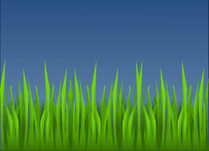 Vibrant Green Grass Vector PNG with transparent background
