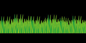 Vibrant Green Grass Vector PNG image with transparent background