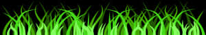 Vibrant Green Grass Vector PNG image with transparent background