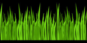 Vibrant Green Grass Vector PNG with transparent background