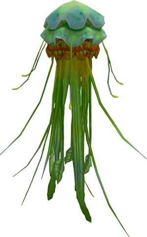 Green Blubber Jellyfish, HD Png Download PNG image with transparent background