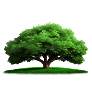 Vibrant Green Landscape PNG 05062024 PNG image with transparent background