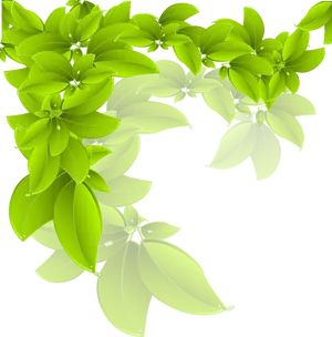 Vibrant Green Leaves Black Background PNG Image