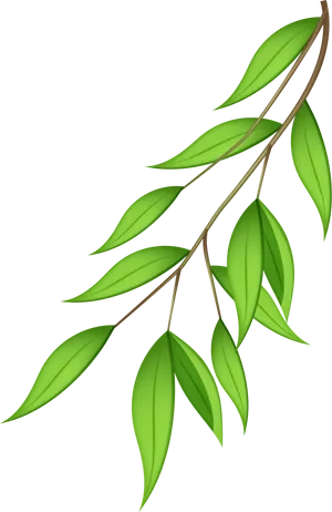 Vibrant Green Leaveson Branch PNG Image