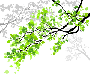 Vibrant Green Leaveson Branches PNG image with transparent background