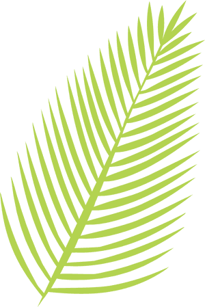 Palm Leaf Svg Cut File - Palm Leaves Svg, HD Png Download PNG image with transparent background