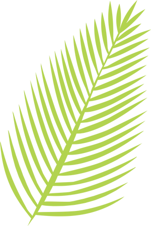 Vibrant Green Palm Leaf Graphic PNG Image