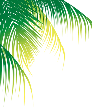 Vibrant Green Palm Leaves PNG Image