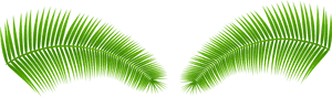 Clipart Leaves Palm Leaves - Transparent Background Palm Frond, HD Png Download PNG image with transparent background