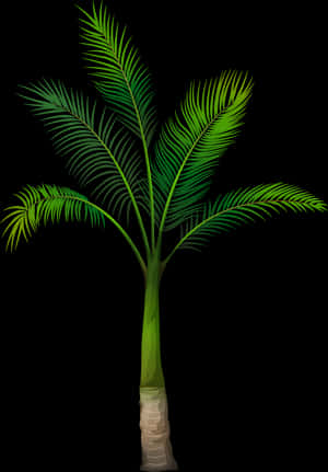 Palm Tree Transparent Png - Palm Tree Png Free Download, Png Download PNG image with transparent background