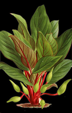 Vibrant Green Plant Illustration PNG image with transparent background