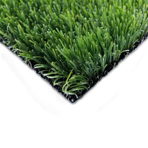 Vibrant Green Turf Grass Png 06262024 PNG Image