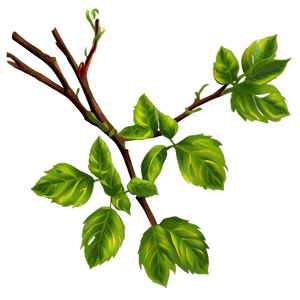 Vibrant Green Vine Branch.png PNG image with transparent background