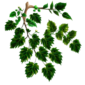 Vibrant Green Vine Leaves PNG image with transparent background