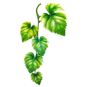 Vibrant Green Vine Leaves PNG Image