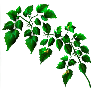 Vibrant Green Vine Leaves PNG image with transparent background