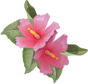 Vibrant Hibiscus Flowers Illustration PNG Image