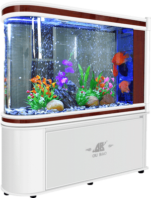 Freshwater Aquarium, HD Png Download PNG image with transparent background