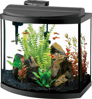 Aquarium Png - Aqueon Aquarium, Transparent Png PNG image with transparent background