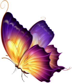 Vibrant Illuminated Butterfly PNG Image