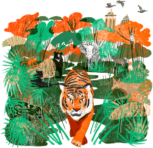 Vibrant_ Jungle_ Wildlife_ Illustration PNG image with transparent background