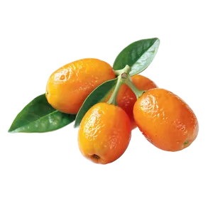 Vibrant Kumquat Png Fje52 PNG Image