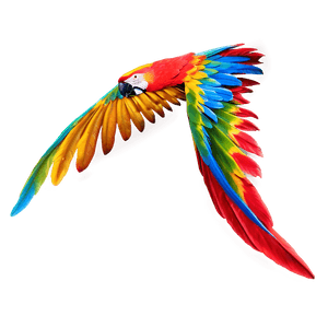 Vibrant Macaw Feather PNG hbm PNG image with transparent background