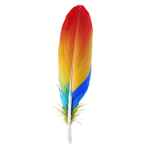 Vibrant Macaw Feather PNG jvs PNG image with transparent background